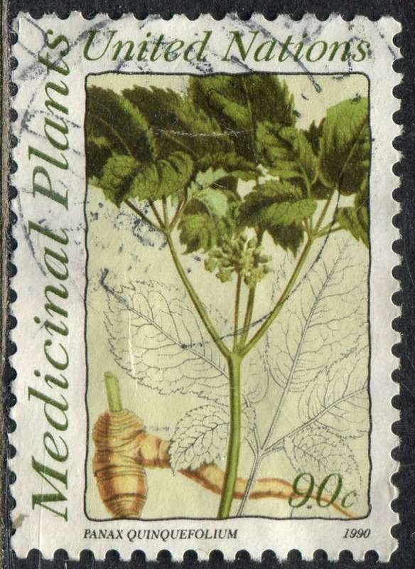UN - New York - 1990 - Used