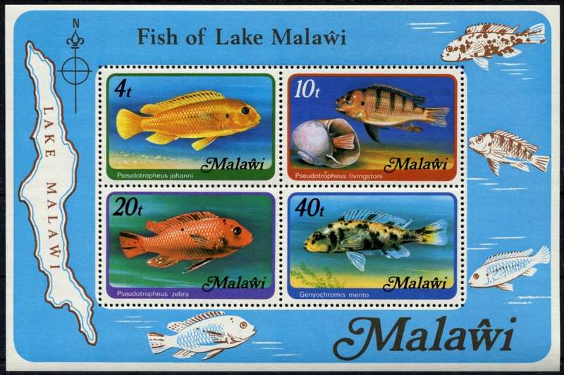 Malawi - Miniature Sheet - Fish - 1977 - MNH - With Watermark