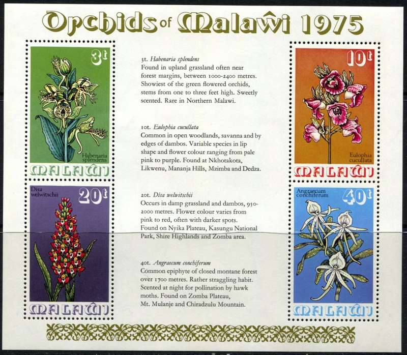Malawi - Miniature Sheet - Flowers - 1975 - MNH