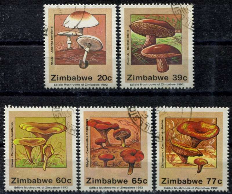 Zimbabwe - Mushrooms - 1992 - CTO