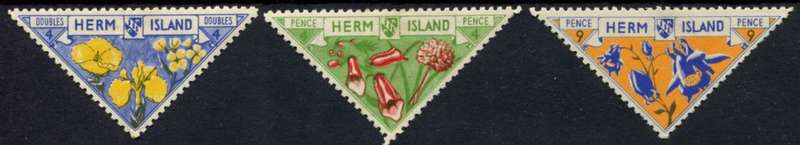 Herm Island - Flowers - MM
