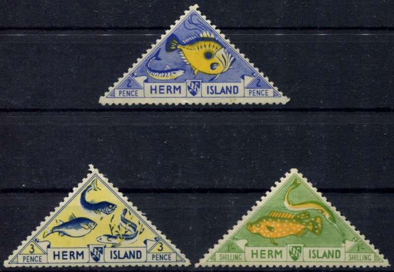 Herm Island - Fish - MM