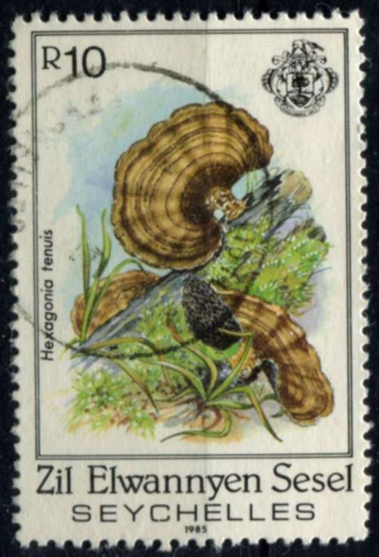 Seychelles - Fungi - 1985 - Used
