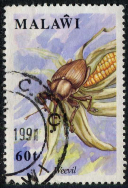 Malawi - Insects - 1991 - Used