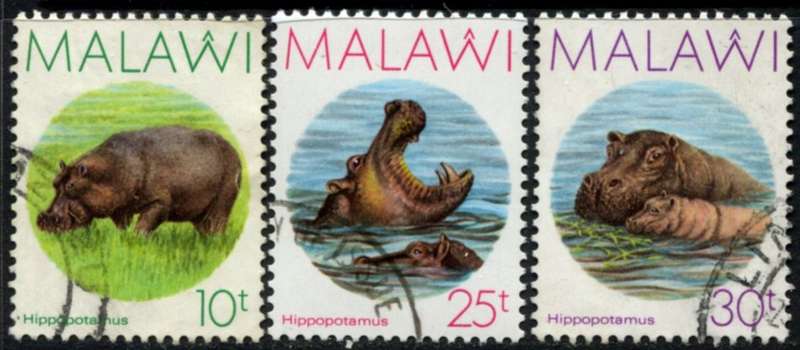 Malawi - Hippopotamus - 1987 - Used