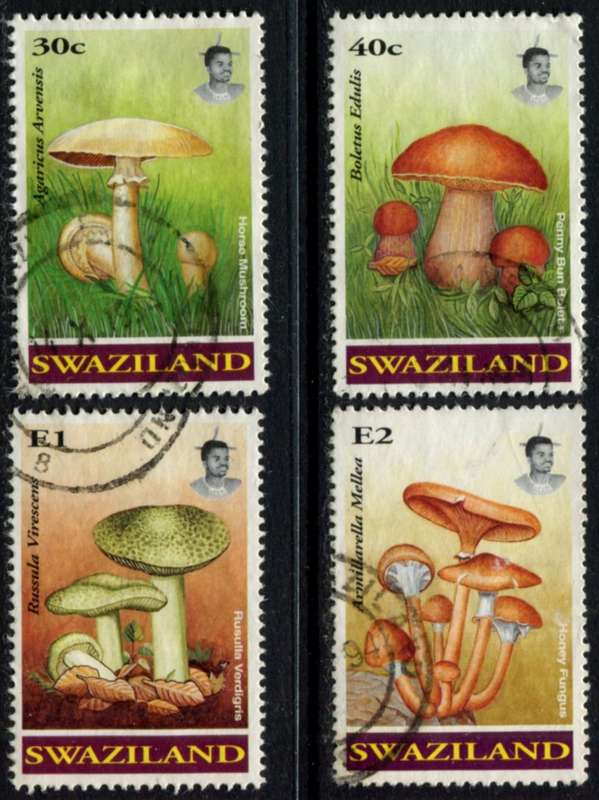 Swaziland - Fungi - 1994 - Used