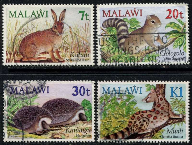 Malawi - Small Mammals - 1984 - Used - 30t Creased