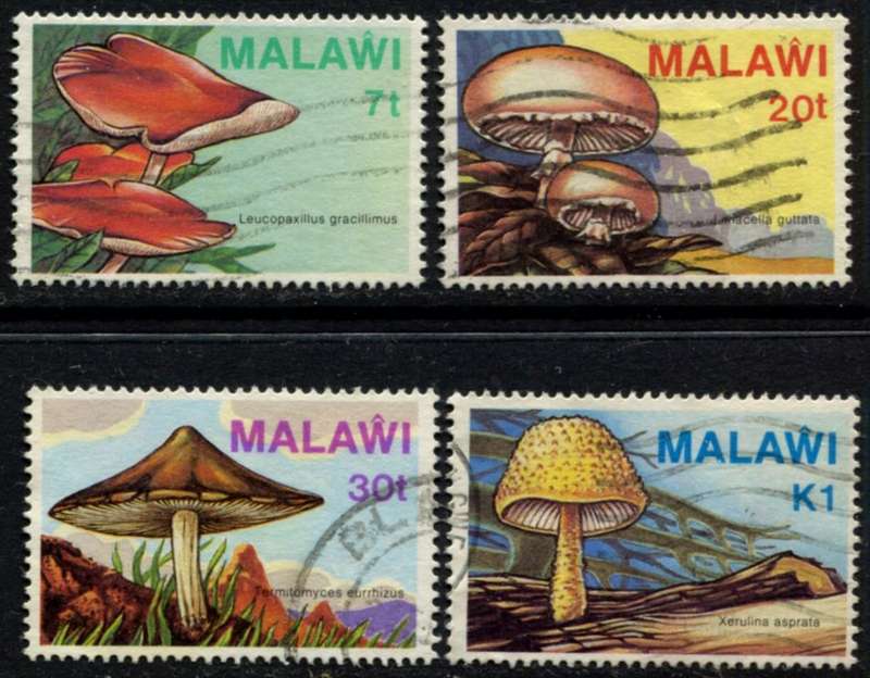 Malawi - Fungi - 1985 - Used