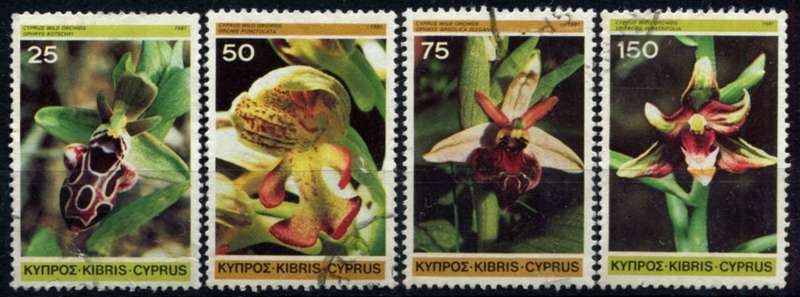 Cyprus - Flowers - 1981 - Used