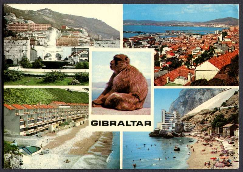 Gibraltar - Post Card - British Fleet Mail Cancel