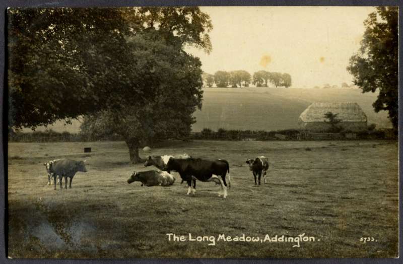 Post Card
