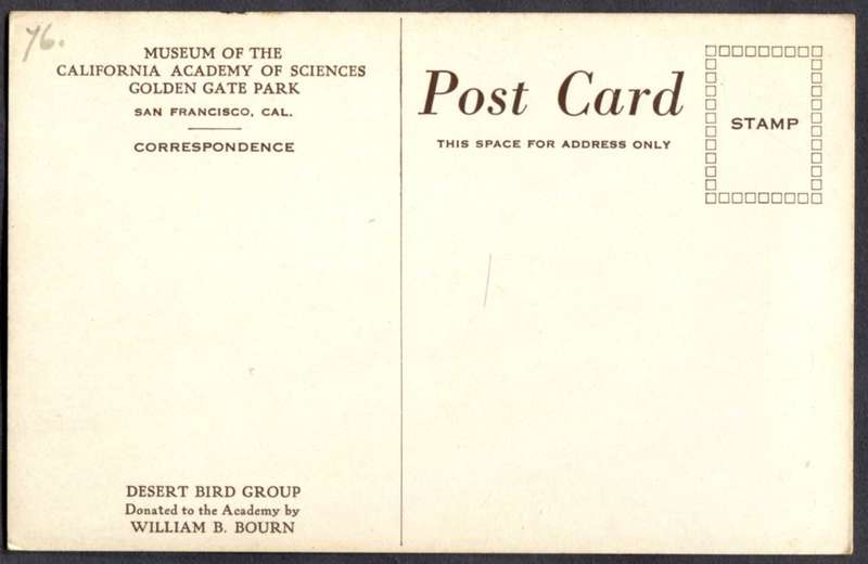 Post Card