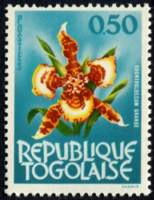 Togo - Flowers - 1964 - MNH