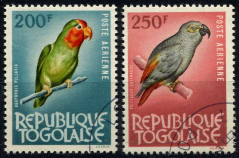 Togo - Birds - 1964 - Used(CTO)