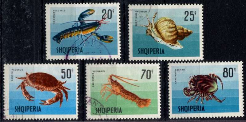 Albania - Marine Life - 1968 - Used