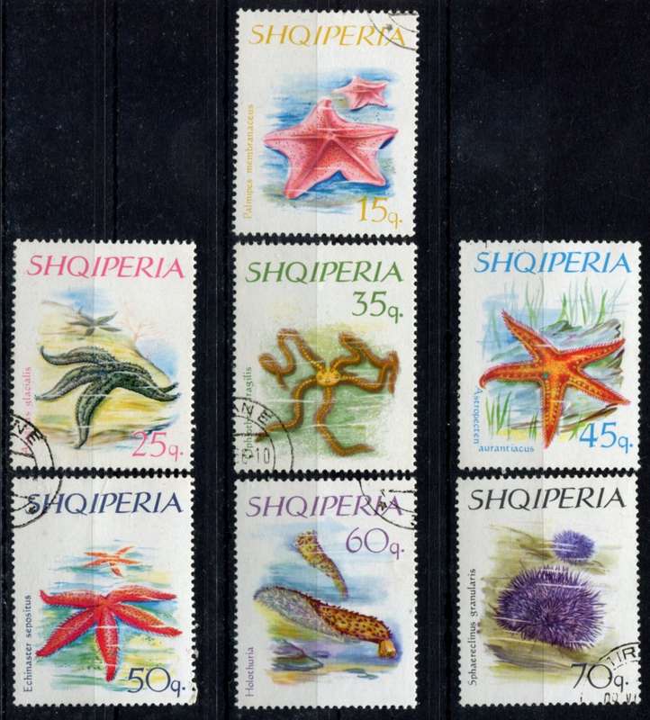 Albania - Marine Life - 1966 - Used