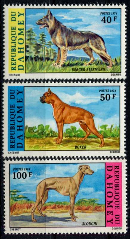 Dahomey - Dogs - 1974 - MNH