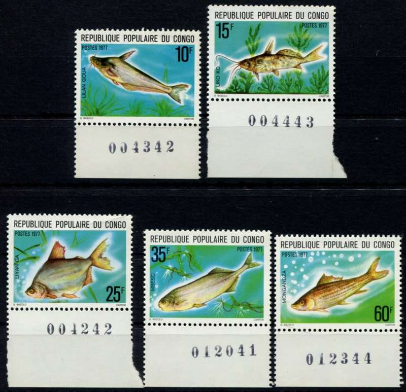 Congo - Fish - 1977 - MNH