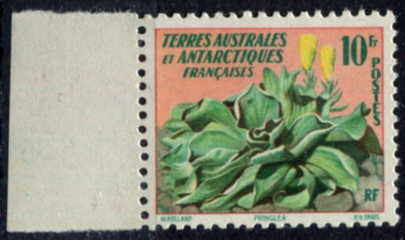 French Southern and Antarctic Territories - 1959 - MNH