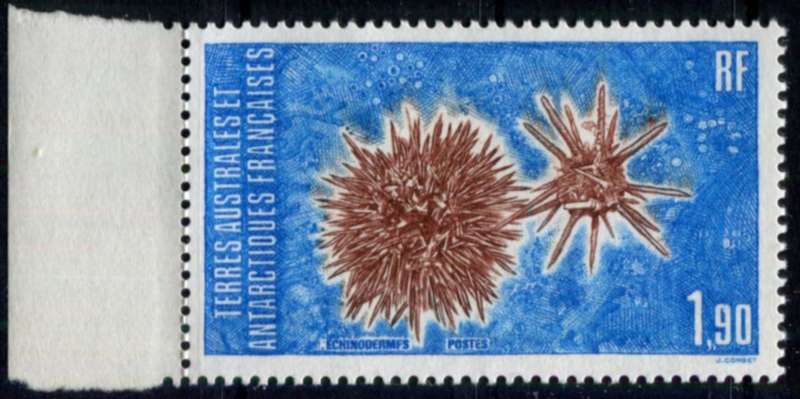 French Southern and Antarctic Territories - 1986 - MNH