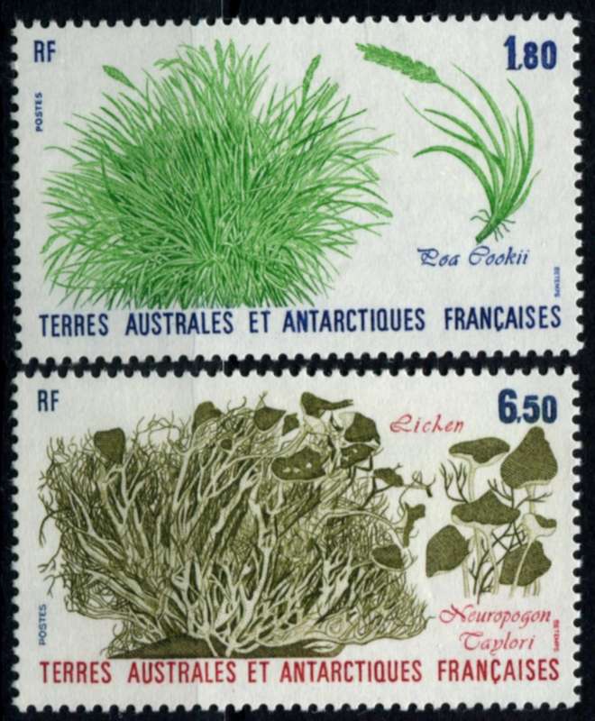 French Southern and Antarctic Territories - 1987 - MNH