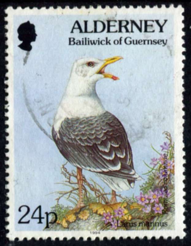 Alderney - Birds - 1994 - Used