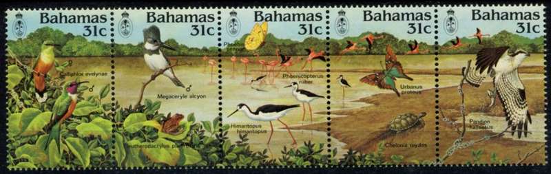 Bahamas - Birds - 1984 - MNH