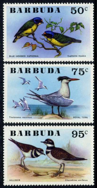 Barbuda - Birds - 1976 - MNH