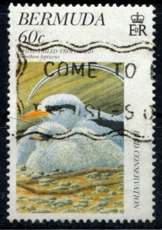 Bermuda - Birds - 1997 - Used