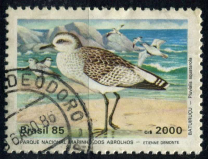 Brazil - Birds - 1985 - Used