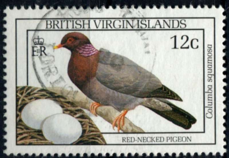 Virgin Islands - Birds - 1990 - Used