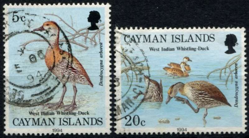 Cayman Islands - Birds - 1984 - Used