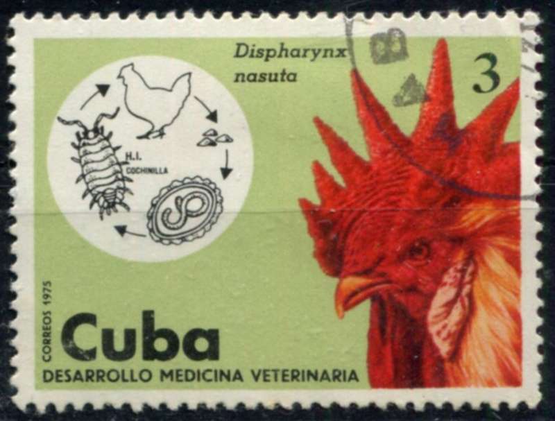 Cuba - Birds - 1975 - Used