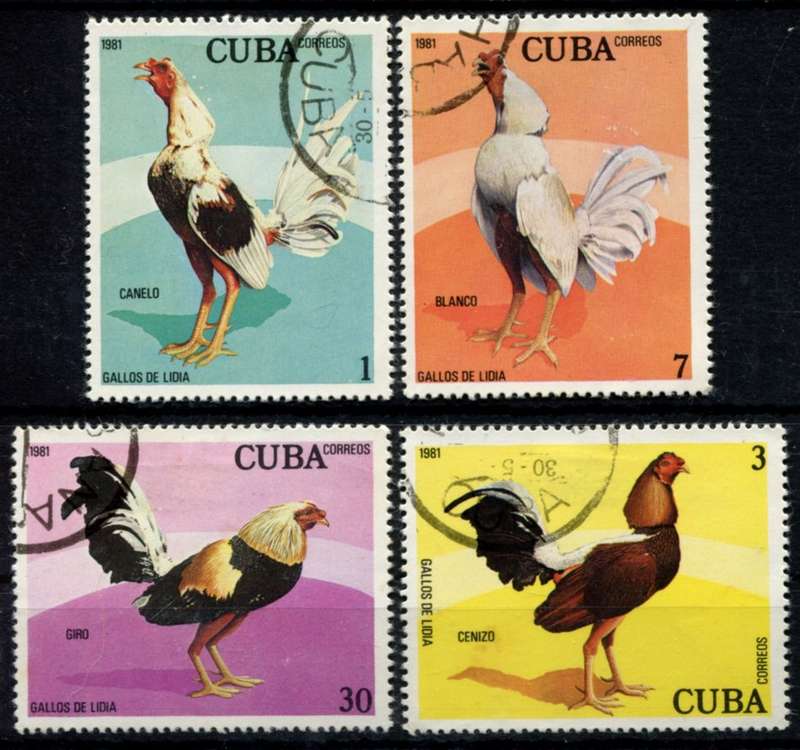 Cuba - Birds - 1981 - Used