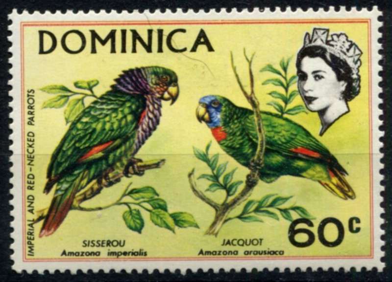 Dominica - Birds - 1970 - MNH