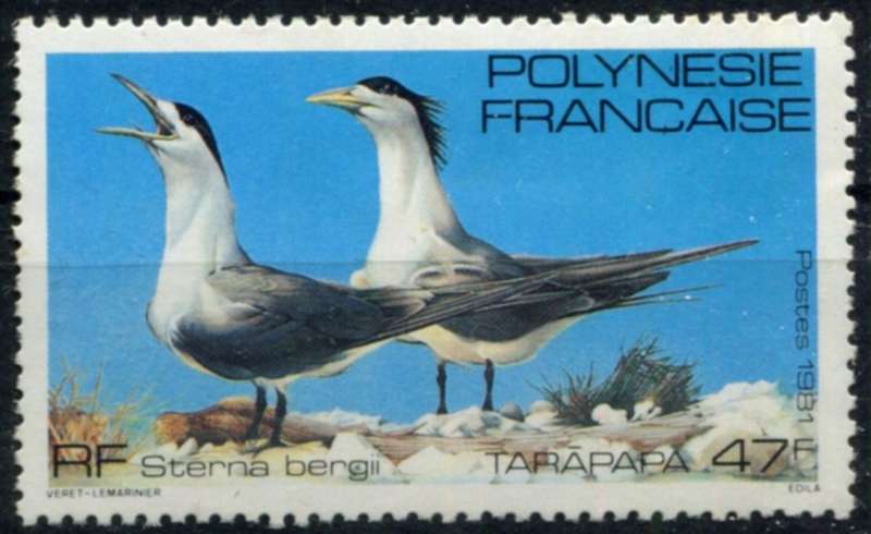 French Polynesia - Birds - 1981 - MNH