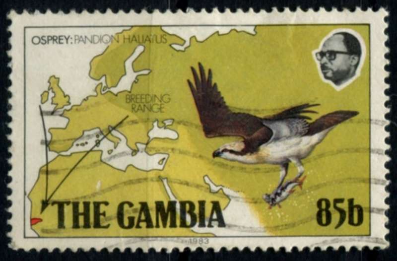 Gambia - Birds - 1983 - Used