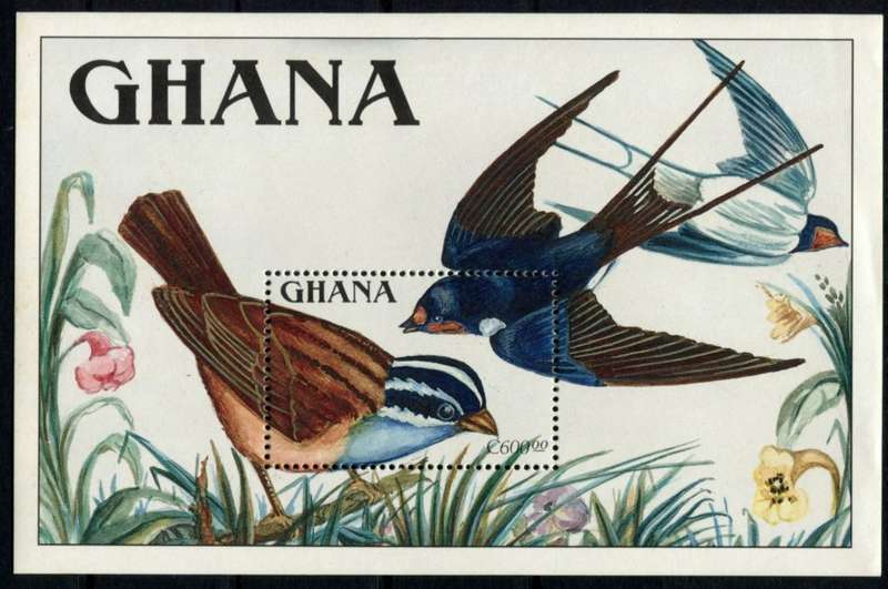 Ghana - Birds - Miniature Sheet - 1989 - MNH