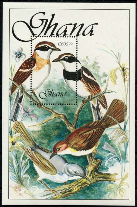 Ghana - Birds - Miniature Sheet - 1989 - MNH
