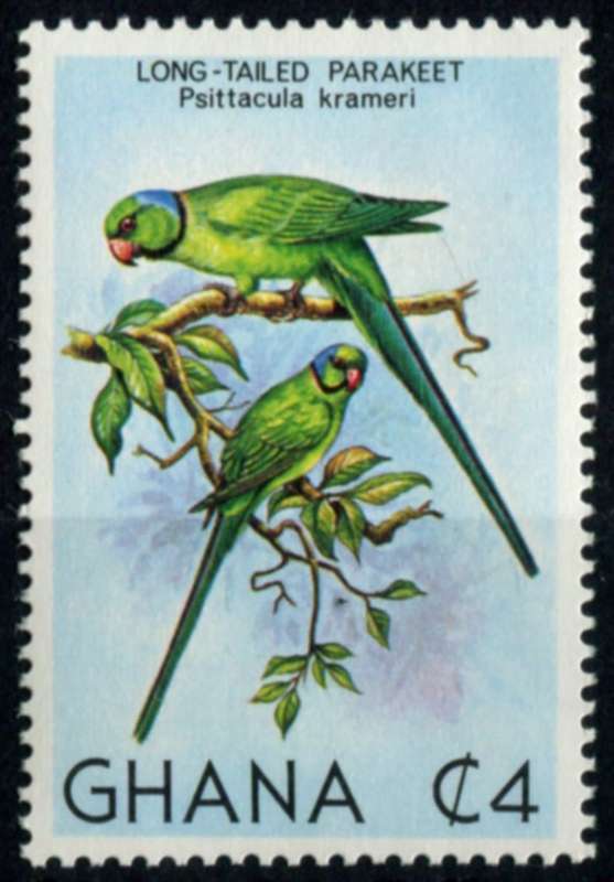 Ghana - Birds - 1981 - MNH