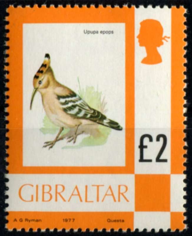 Gibraltar - Birds - 1977 - MNH