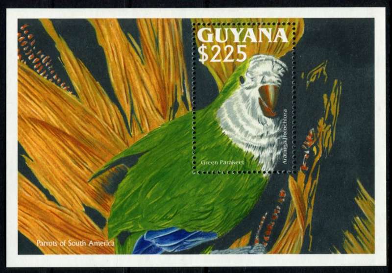 Guyana - Birds - Miniature Sheet - 1993 - MNH