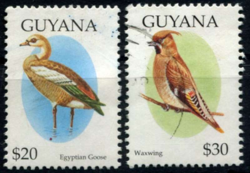Guyana - Birds - 1995 - Used
