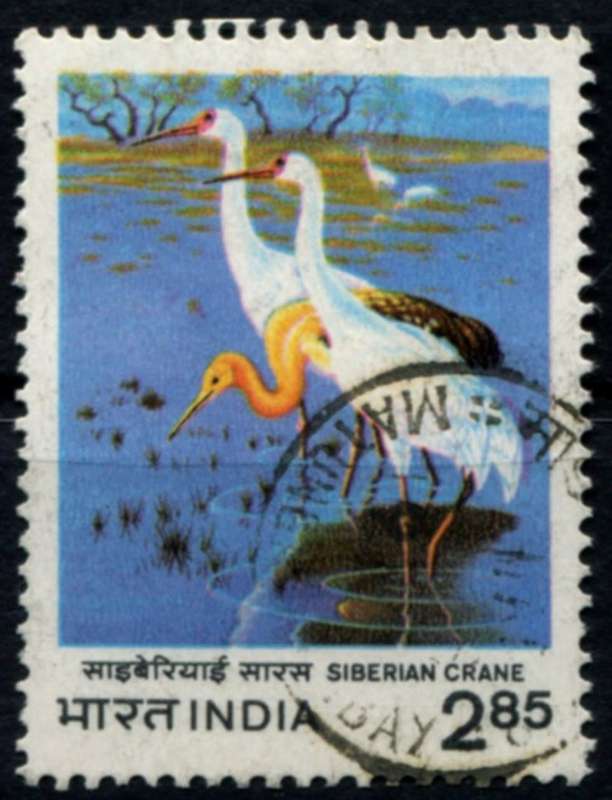 India - Birds - 1983 - Used
