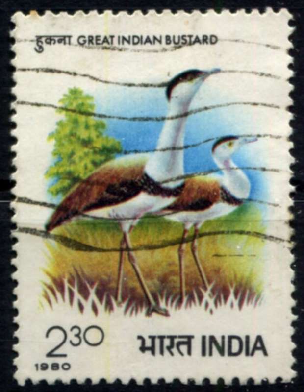 India - Birds - 1980 - Used