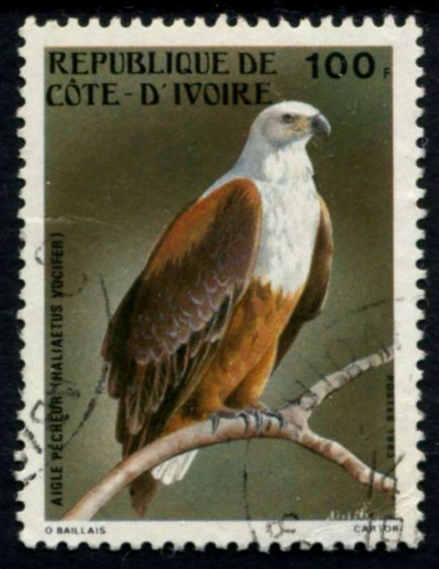 Ivory Coast - Birds - 1983 - Used