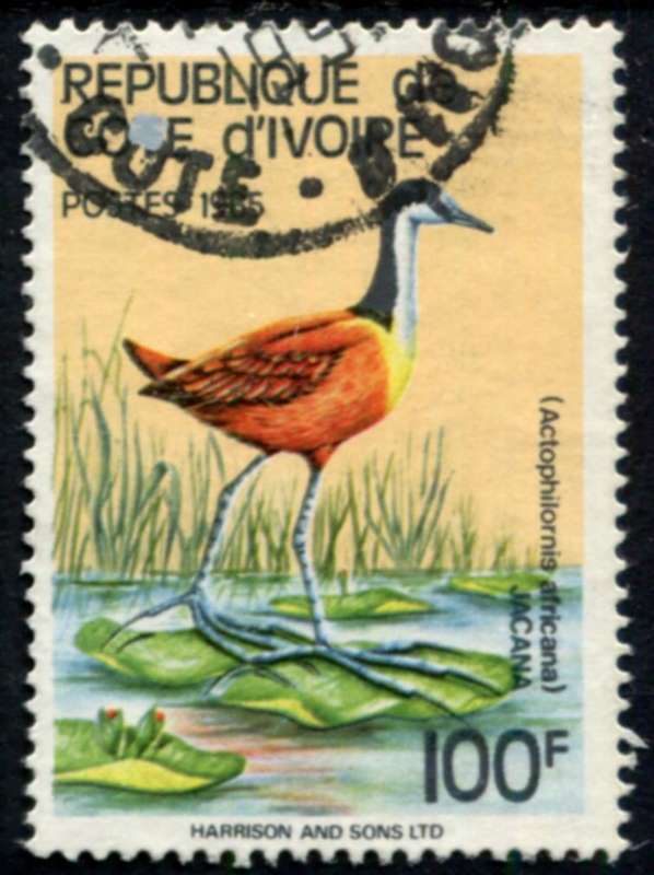 Ivory Coast - Birds - 1985 - Used