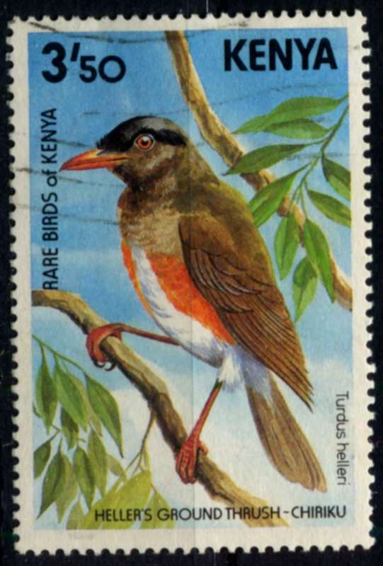 Kenya - Birds - 1984 - Used