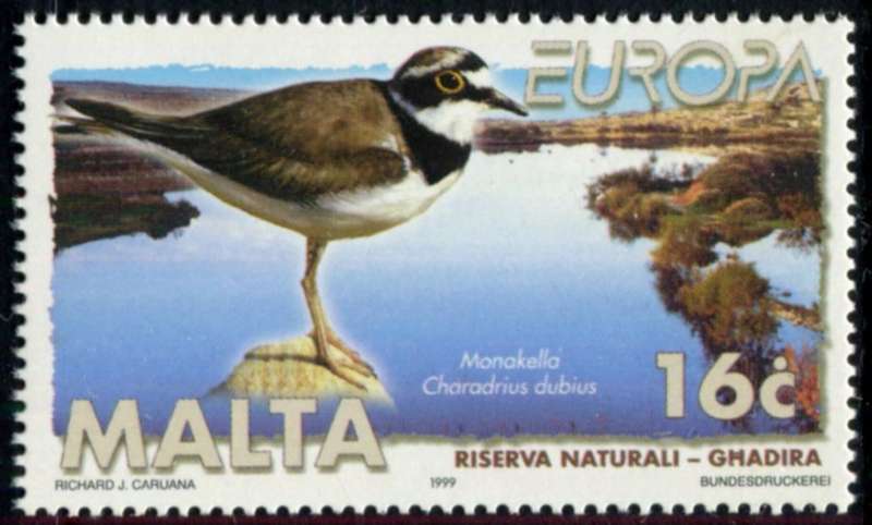 Malta - Birds - 1999 - MNH