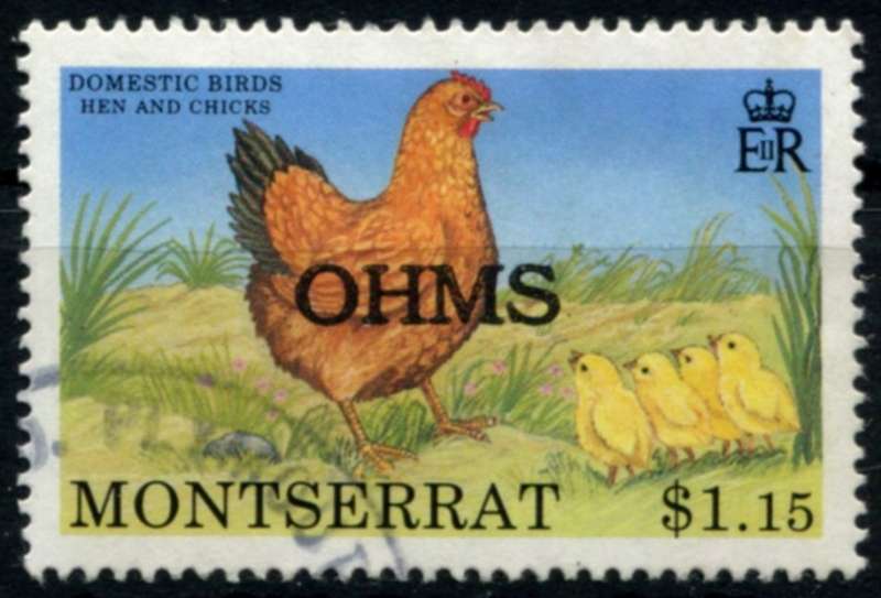 Montserrat - Birds - 1992 - Used